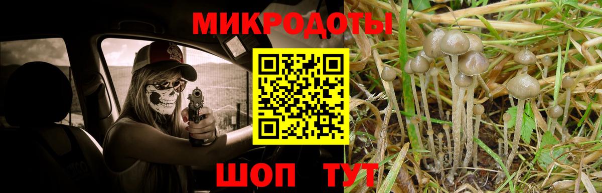 Галлюциногенные грибы Cubensis Кушва